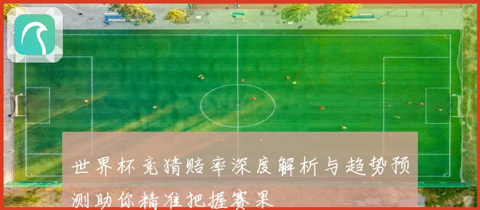 世界杯竞猜赔率深度解析与趋势预测助你精准把握赛果