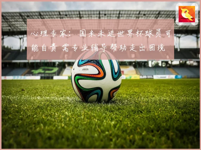心理专家：国米未进世界杯球员可能自责 需专业辅导帮助走出困境